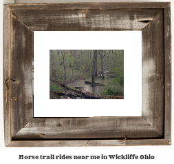 horse trail rides near me in Wickliffe, Ohio